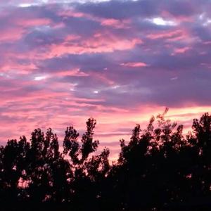 女警被灌满精子后糟蹋视频网站
